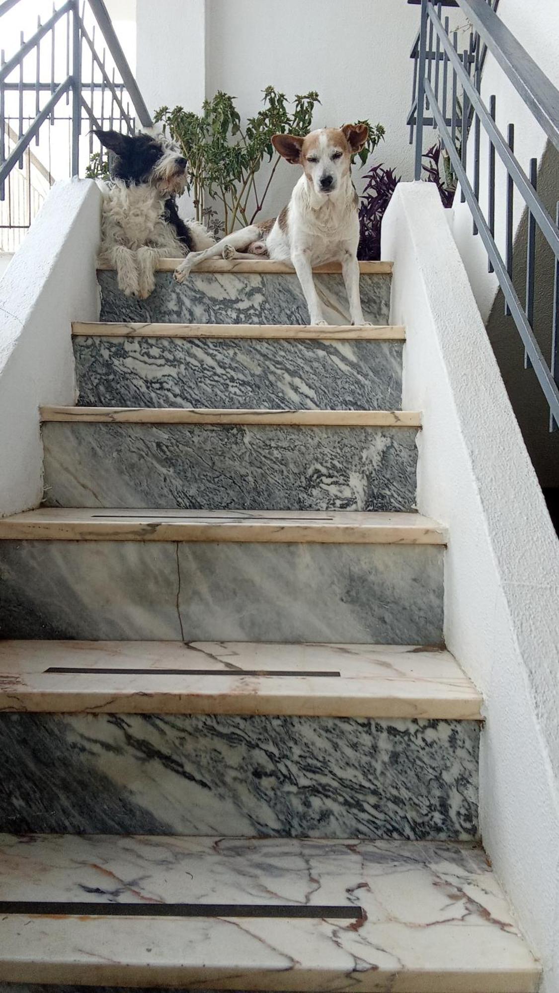 Apartamento Ztir Olhão Exterior foto
