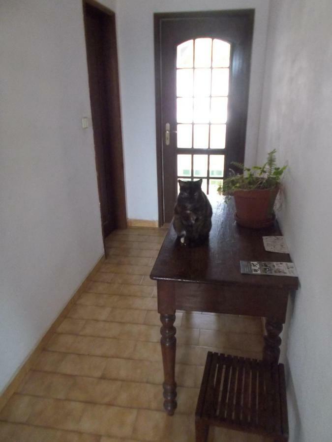 Apartamento Ztir Olhão Exterior foto