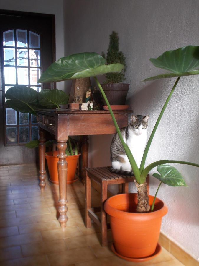 Apartamento Ztir Olhão Exterior foto